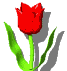flower (217).g